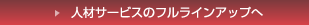 �l�ރT�[�r�X�̃t�����C���A�b�v��