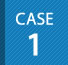 case 01